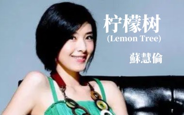Lemon Tree吉他谱_苏慧伦_C调指法弹唱谱