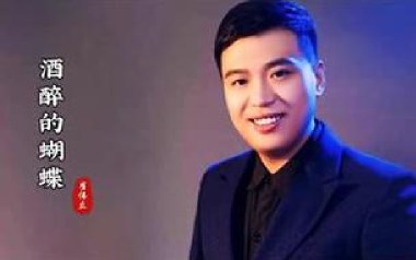 酒醉的蝴蝶吉他谱_崔伟立_G调原版