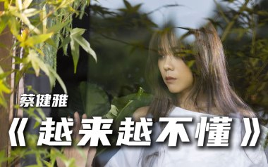 越来越不懂吉他谱_蔡健雅_C调指法弹唱谱