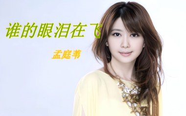 谁的眼泪在飞吉他谱_孟庭苇_C调原版弹唱谱