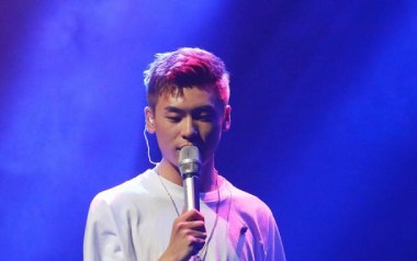 如谁所愿吉他谱_隔壁老樊_C调指法简单版