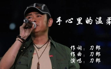 手心里的温柔吉他谱_刀郎_F调指法弹唱谱