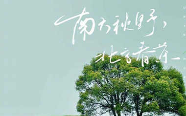 南方秋野北方春茶吉他谱_张远_C调原版弹唱谱