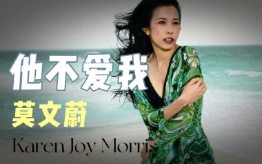 他不爱我吉他谱_莫文蔚_G调指法原版弹唱谱