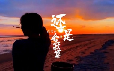 还是会寂寞吉他谱_陈绮贞_C调指法弹唱谱