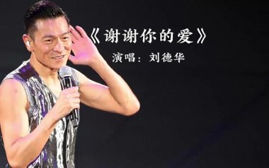 谢谢你的爱吉他谱_刘德华_G调指法弹唱谱