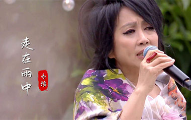 走在雨中吉他谱_齐豫_G调指法原版弹唱谱