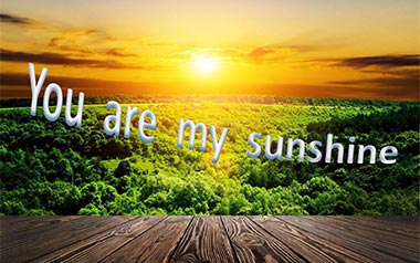 You Are My Sunshine吉他谱_C调指法弹唱谱
