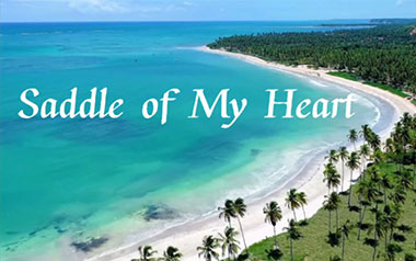 Saddle Of My Heart吉他谱_Teloupe_C调指法