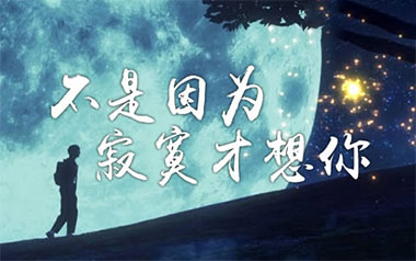 不是因为寂寞才想你吉他谱_王小帅/TRY_C调原版