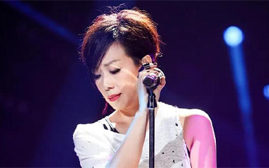 爱上一个不回家的人吉他谱_林忆莲_C调原版