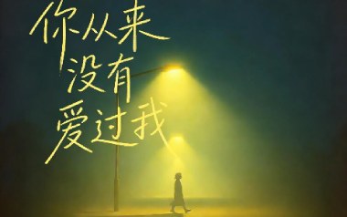 你从来没有爱过我吉他谱_励明_C调原版弹唱谱