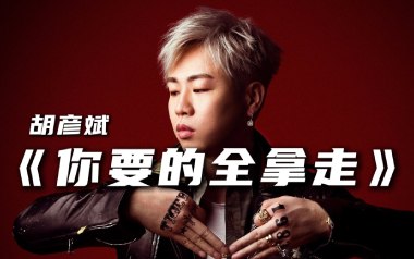 你要的全拿走吉他谱_胡彦斌_C调简单版