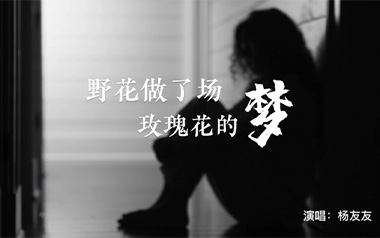 野花做了场玫瑰花的梦吉他谱_杨友友_C调原版