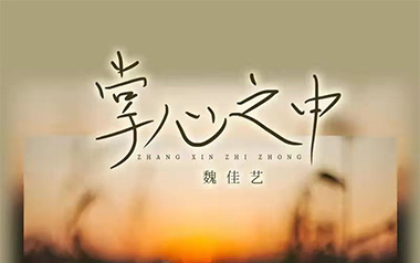 掌心之中吉他谱_魏佳艺_G调原版弹唱谱