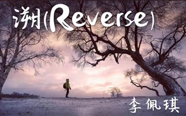 溯Reverse吉他谱_李佩琪_C调指法原版弹唱谱