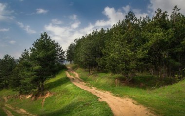故乡的小路吉他谱_民歌_C调指法简单版