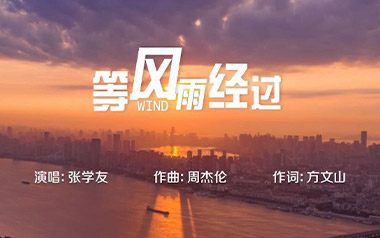 等风雨经过吉他谱_张学友_C调原版弹唱谱