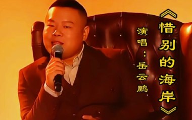 惜别的海岸吉他谱_岳云鹏/龙飘飘_G调原版