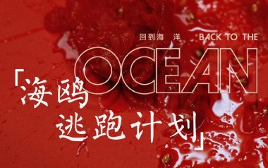 海鸥吉他谱_逃跑计划_G调指法原版弹唱谱