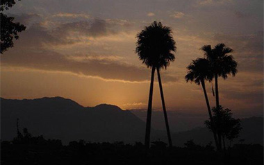 绿岛小夜曲吉他谱_邓丽君_C调原版弹唱谱