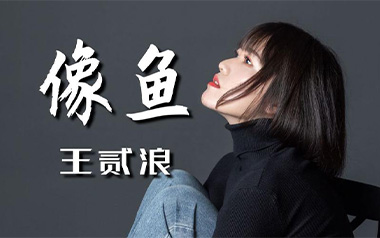 像鱼吉他谱_王贰浪_G调原版弹唱谱