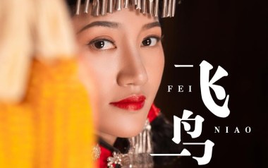 飞鸟吉他谱_曲木阿依_G调原版弹唱谱