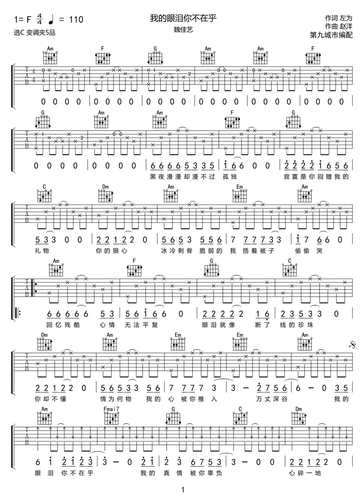我的眼泪你不在乎吉他谱1-魏佳艺