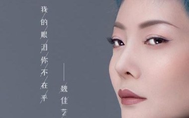 我的眼泪你不在乎吉他谱_魏佳艺_C调原版弹唱谱