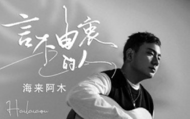 言不由衷的人吉他谱_海来阿木_G调原版弹唱谱