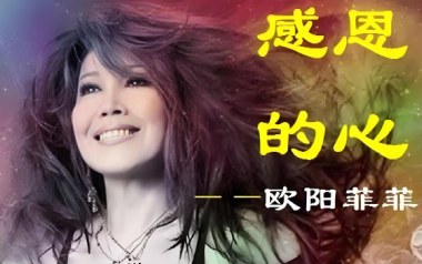 感恩的心吉他谱_欧阳菲菲_C调原版弹唱谱