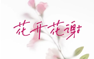 花开花谢花漫天吉他谱_罗哥_G调扫弦版弹唱谱